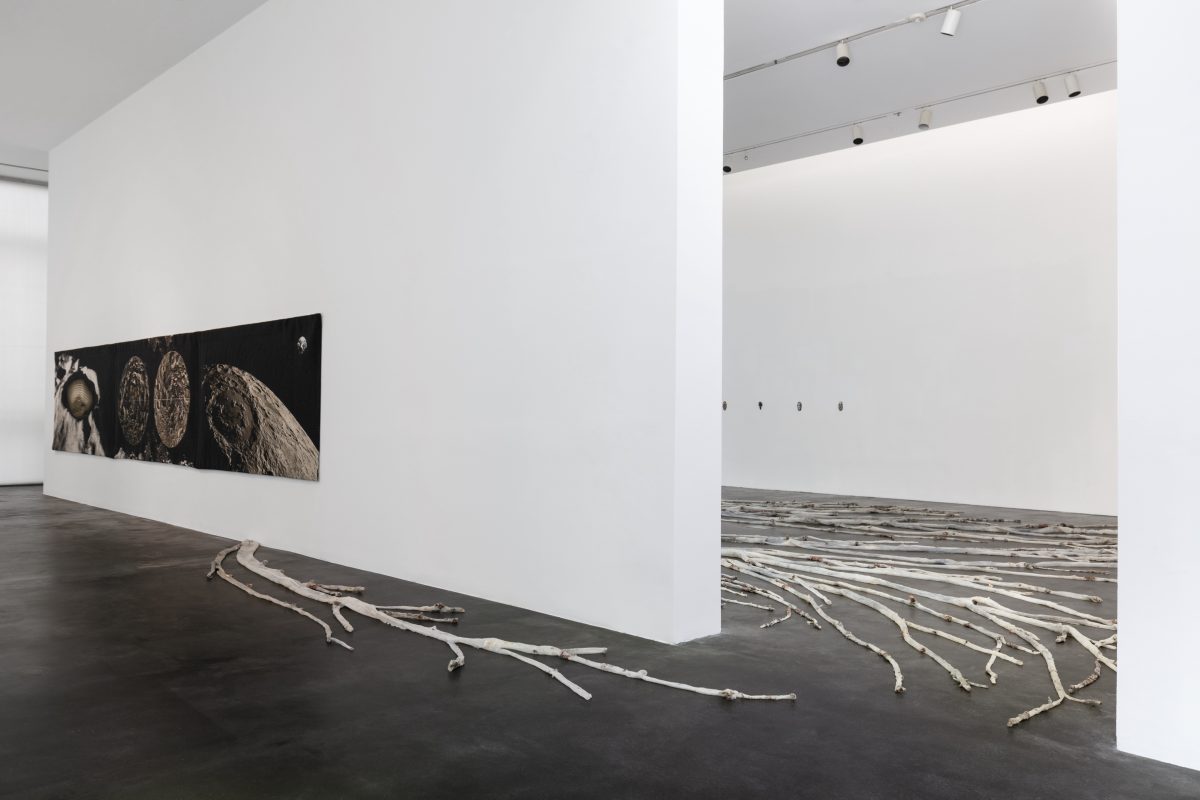 <i>Clarissa Tossin: Falling From Earth</i>, 2022
</br> installation view, Museum of Contemporary Art, Denver>