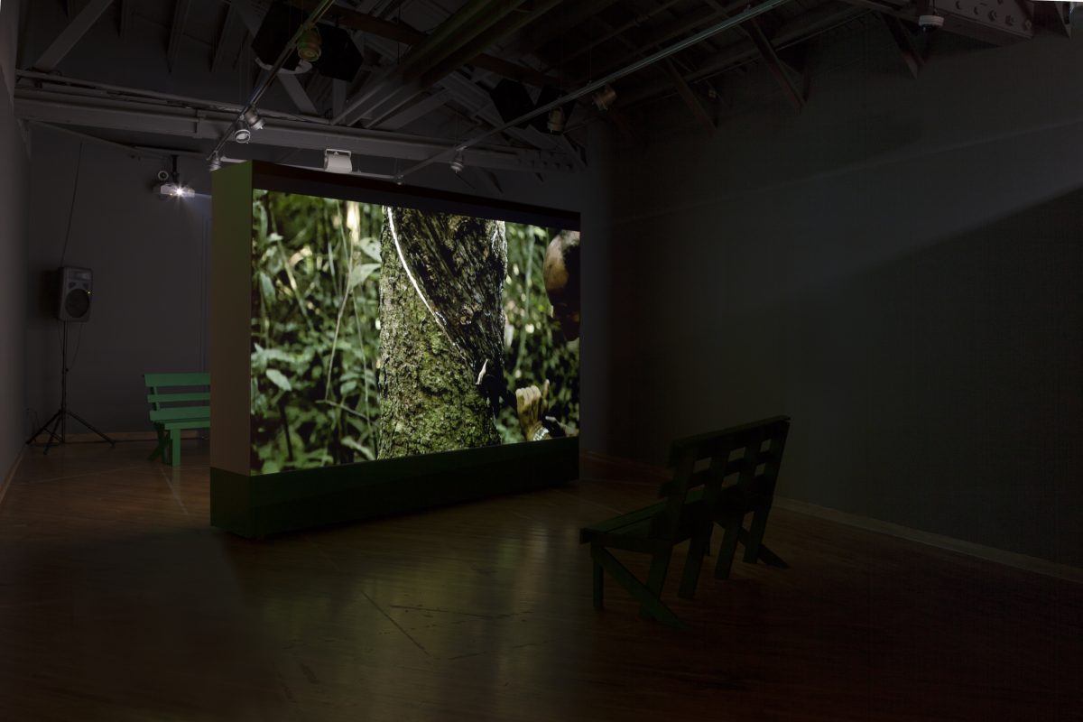 <i>Streamlined: Belterra, Amazônia / Alberta, Michigan</i>, 2018
</br> installation view, Blanton Museum of Art, Austin>