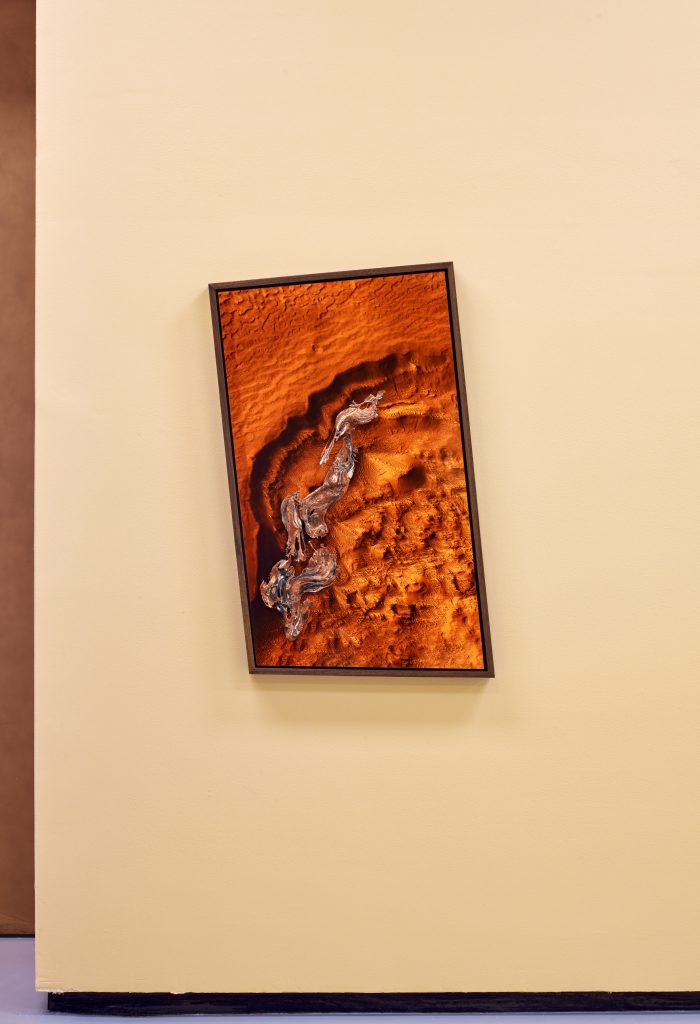 <i>Future Fossil</i>, 2019
</br> installation view, Johnson-Kulukundis Gallery, Radcliffe Institute for Advanced Study, Harvard University