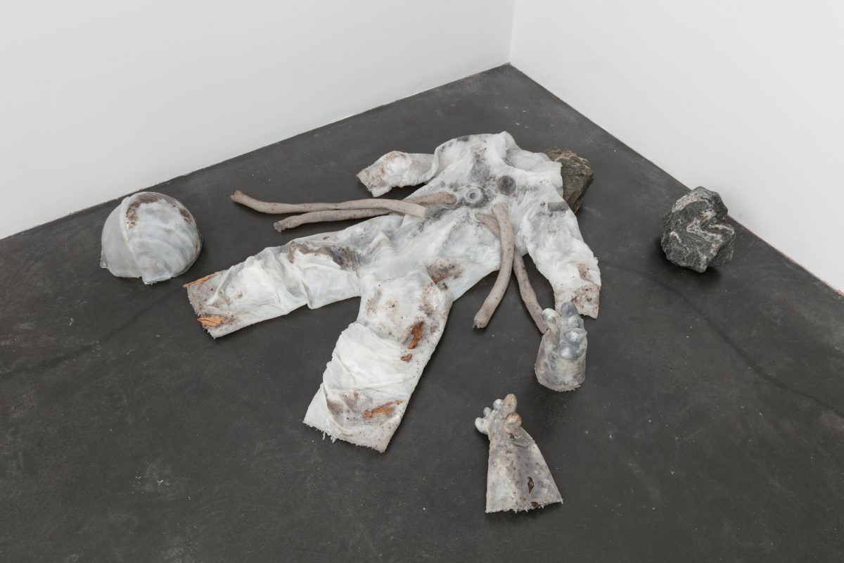 <i>Clarissa Tossin: Falling From Earth</i>, 2022
</br> installation view, Museum of Contemporary Art, Denver>