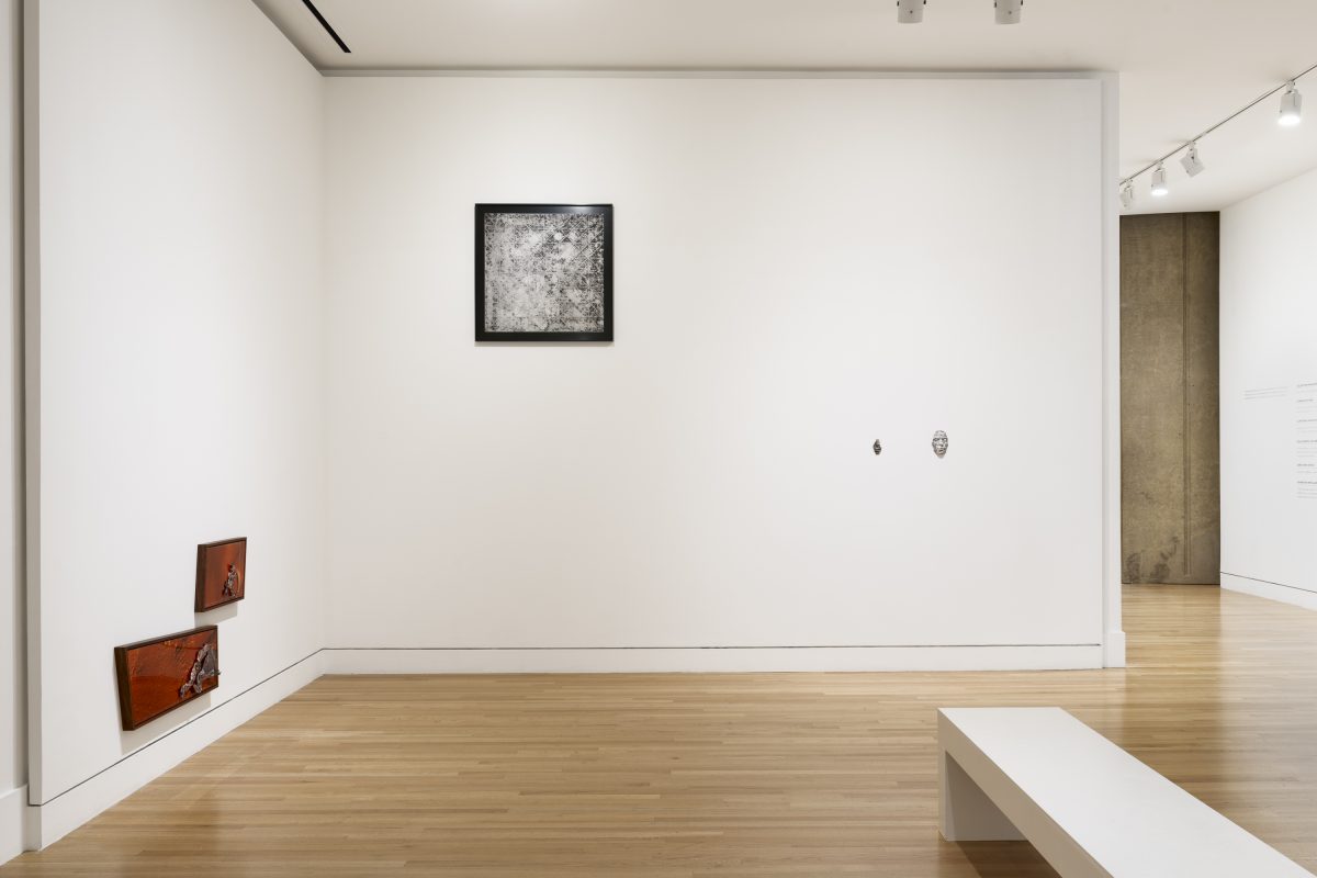 <i>Clarissa Tossin: to take root among the stars</i>, 2023
</br> installation view, Frye Art Museum, Seattle