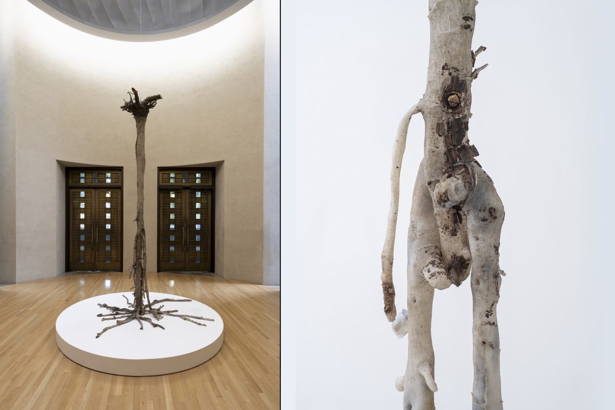 <i>Clarissa Tossin: to take root among the stars</i>, 2023
</br> installation view, Frye Art Museum, Seattle