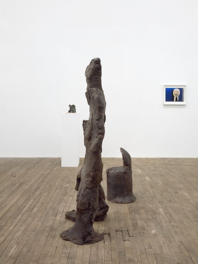 <i>The Hearth</i>, 2026
</br>installation view, kaufmann repetto New York>