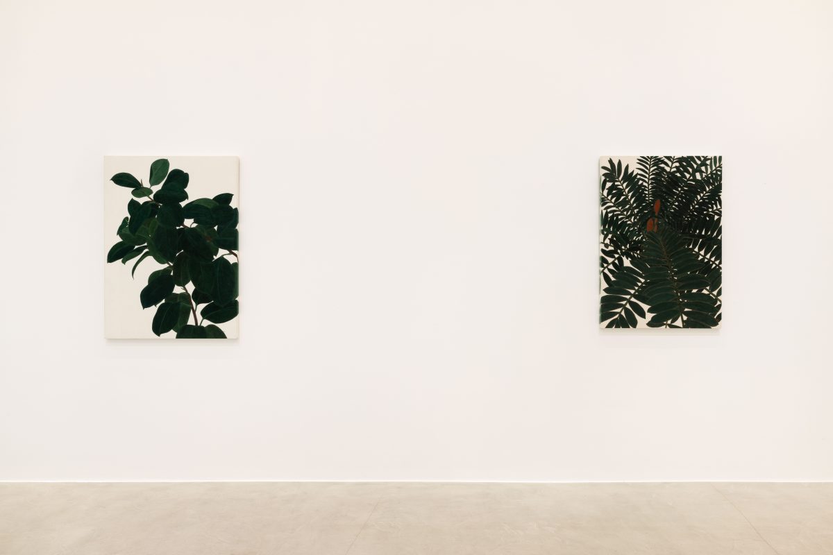 <i>TOWARDS,</i> 2026 </br>
installation view, kaufmann repetto, Milan 