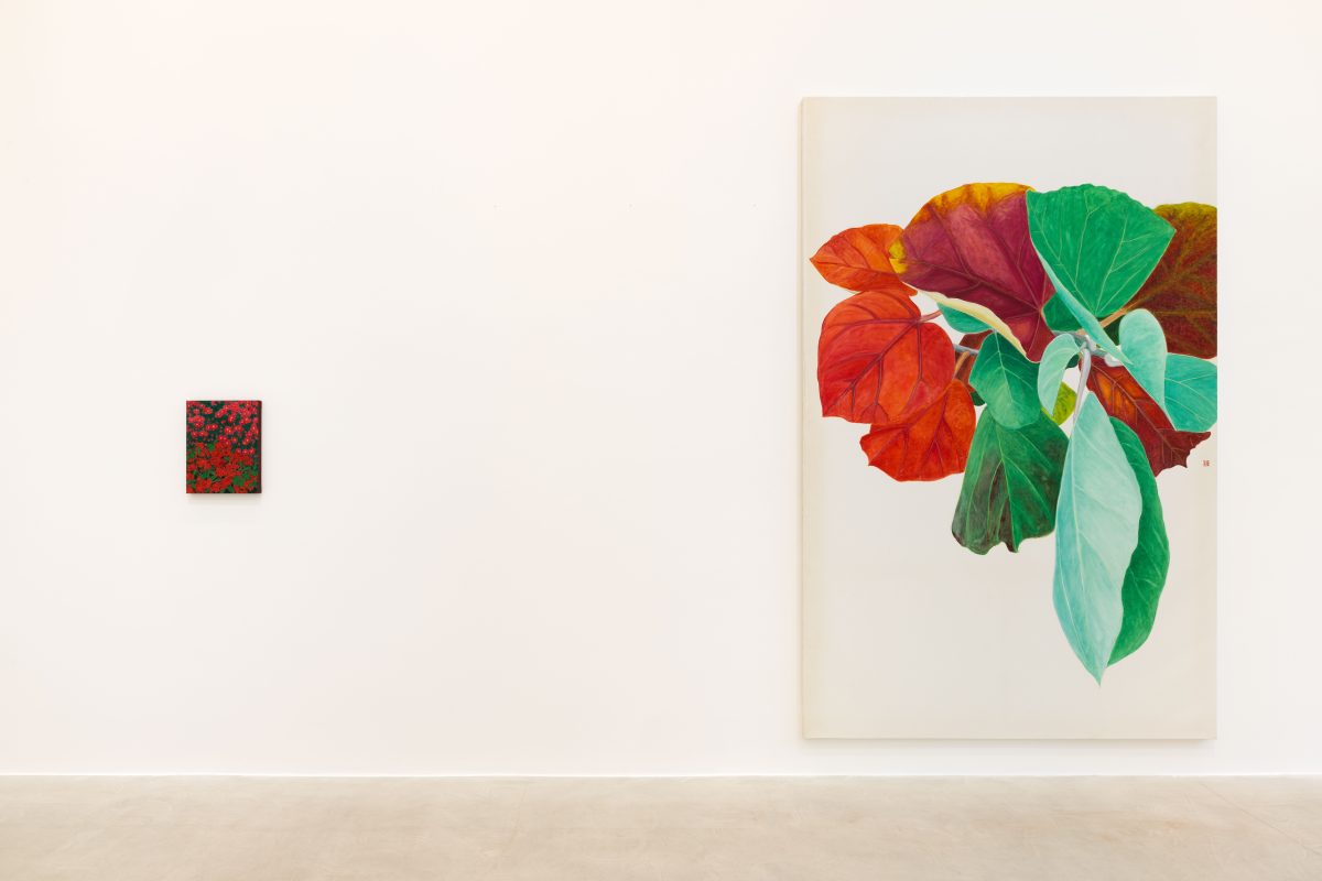 <i>TOWARDS,</i> 2026 </br>
installation view, kaufmann repetto, Milan 