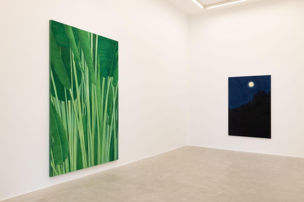 <i>TOWARDS,</i> 2026 </br>
installation view, kaufmann repetto, Milan 
