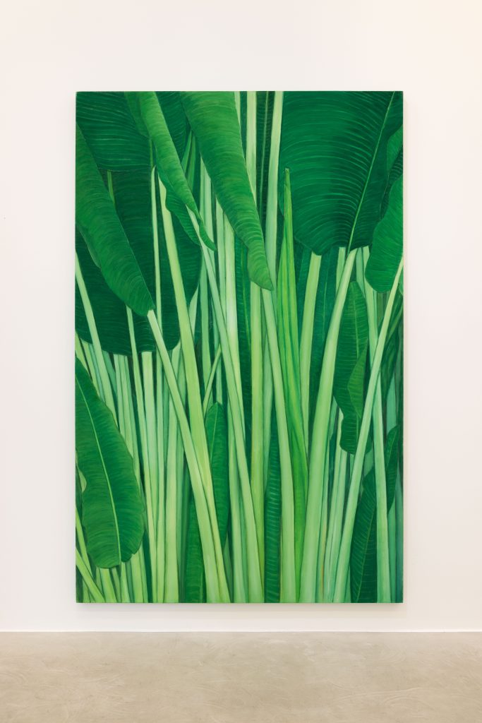 <i>TOWARDS,</i> 2026 </br>
installation view, kaufmann repetto, Milan 