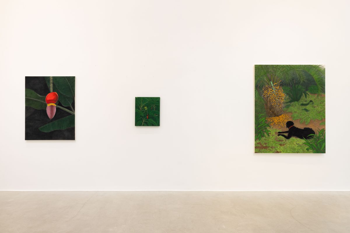 <i>TOWARDS,</i> 2026 </br>
installation view, kaufmann repetto, Milan 