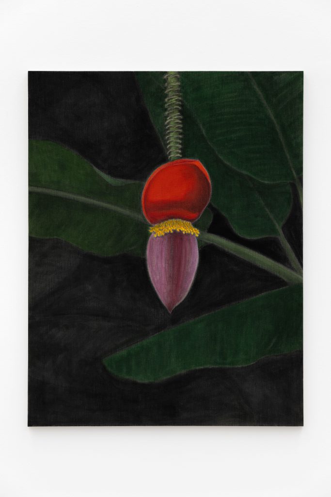 <i>Towards</i> , 2026</br>
color on canvas</br>117 x 91 cm / 46 x 35.8 in