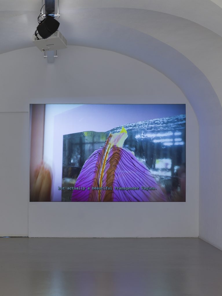 <i>PINKING UP</i>, 2026
</br> installation view, Ar/Ge Kunst, Bolzano