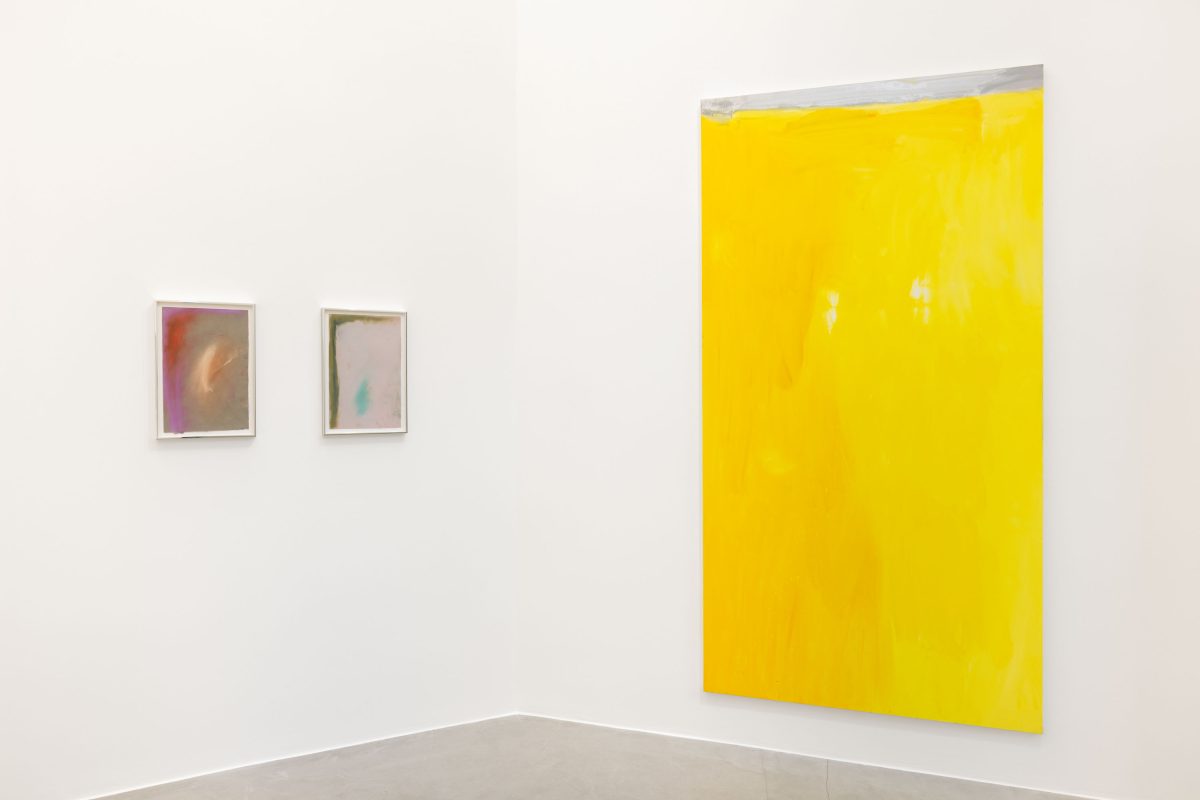 <i>My Little Pony, </i> 2026 </br>
installation view, kaufmann repetto, milan