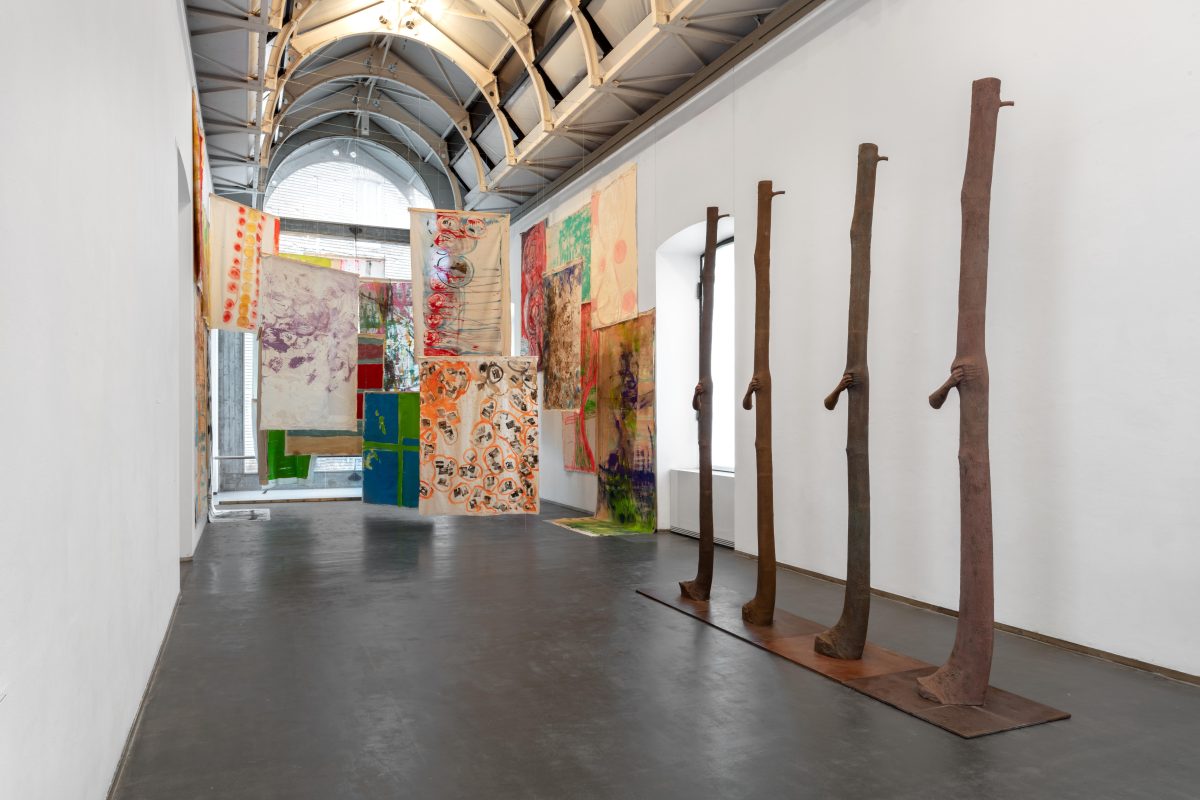 <i>Mutual Aid - Art in Collaboration with Nature,</i> 2024</br>
installation view, Castello di Rivoli, Turin>