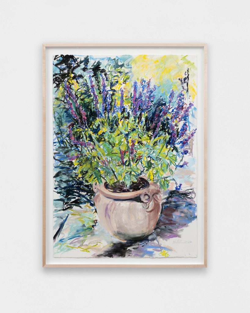 <i>Salvia, East Hampton</i> 2025</br>
pastel on paper
117,5 x 86,4 cm / 46.3 x 34 in 