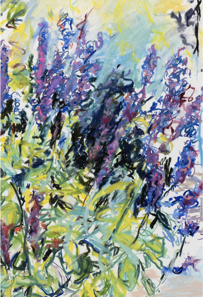 <i>Salvia, East Hampton</i> 2025</br>
(detail)