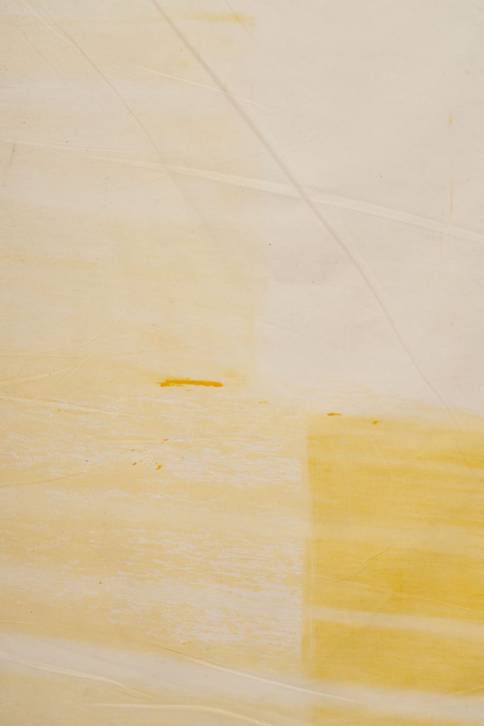 <i>Untitled,</i> undated </br>mixed media on canvas</br>
detail>