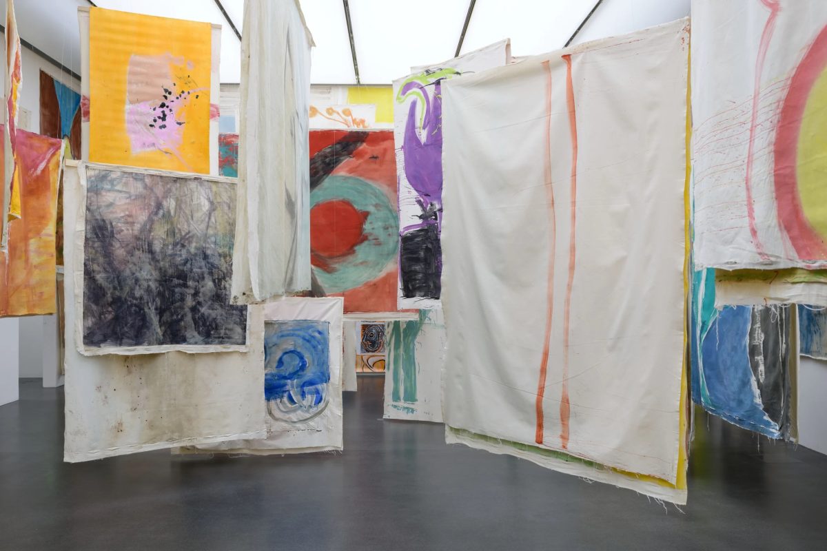 <i>Vivian Suter,</i> 2021</br>
Kunstmuseum, Luzern>