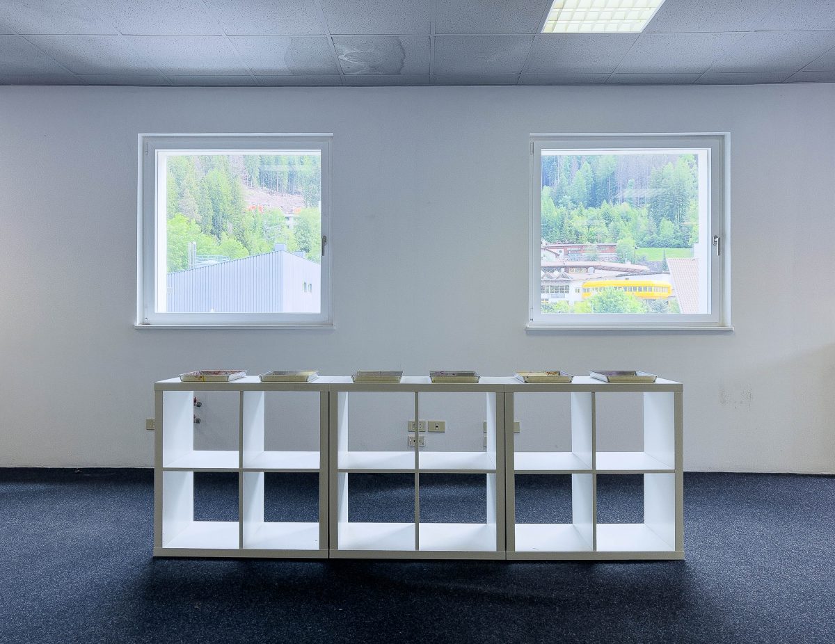 <i>Marmottoloidi,</i> 2024 </br>
installation view,  Biennale Gherdëina 9, Ortisei 