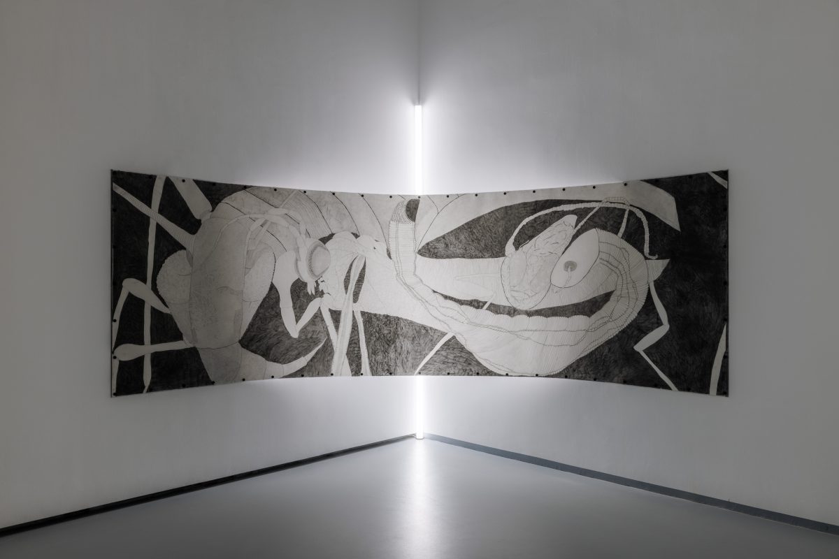 <i>Hic Sunt Dracones,</i> 2022 </br>
installation view,  Galleria Civica d’Art Moderna e Contemporanea (GAM), Turin