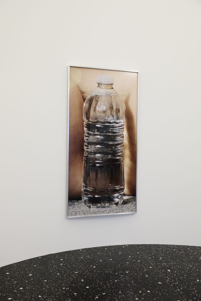 <i>Bunny,</i> 2026 </br>
installation view,  Loewe Foundation | Lázaro Galdiano Museum, Madrid>