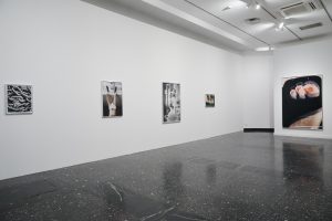 <i>Bunny,</i> 2026 </br>
installation view,  Loewe Foundation | Lázaro Galdiano Museum, Madrid