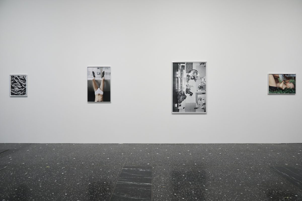 <i>Bunny,</i> 2026 </br>
installation view,  Loewe Foundation | Lázaro Galdiano Museum, Madrid