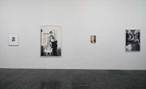 <i>Bunny,</i> 2026 </br>
installation view,  Loewe Foundation | Lázaro Galdiano Museum, Madrid