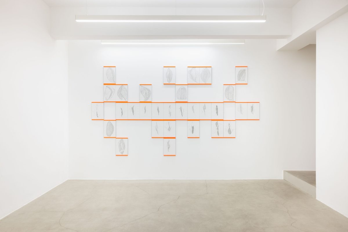 <i>PPP pinkypussypunk,</i> 2026 </br>
installation view,  kaufmann repetto, milan