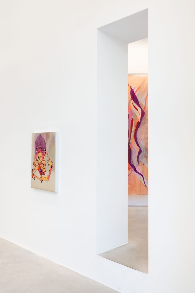 <i>PPP pinkypussypunk,</i> 2026 </br>
installation view,  kaufmann repetto, milan