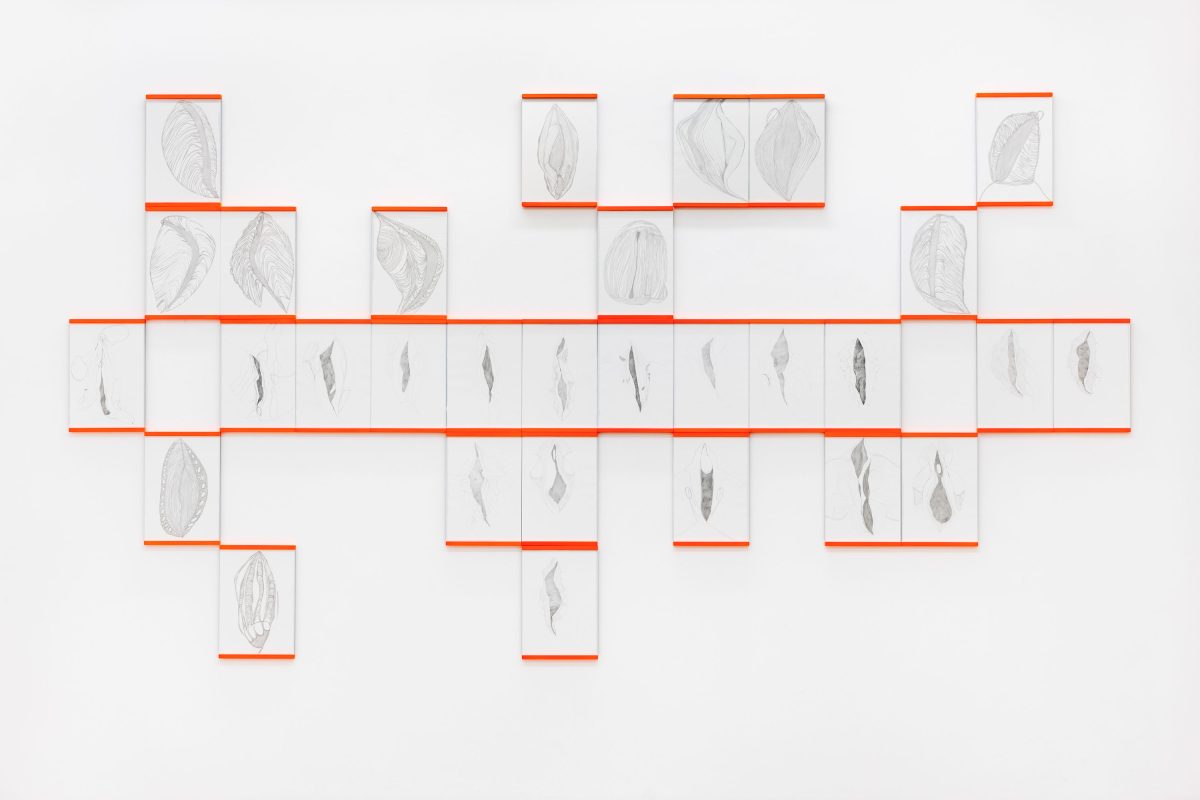 <i>Vulvae Family Tree</i>, 2026</br>
30 drawings graphite on paper, framed (fluo wooden, glass, dibond)</br>
overall: 190 x 357 cm / 74.8 x 140.6 in</br>each: 35 x 25,5 x 1,5 cm / 15 x 10 x 0.5 in