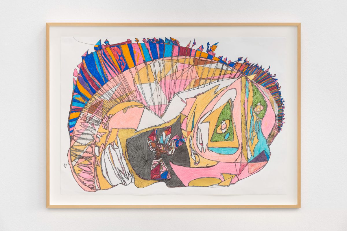 <i>MARMOT PUNK!</i>, 2018-2024 </br>
pencil, markers, coloured crayon, gold leaf on paper, framed</br>
80 x 110 cm / 31.5 x 43.3 in>