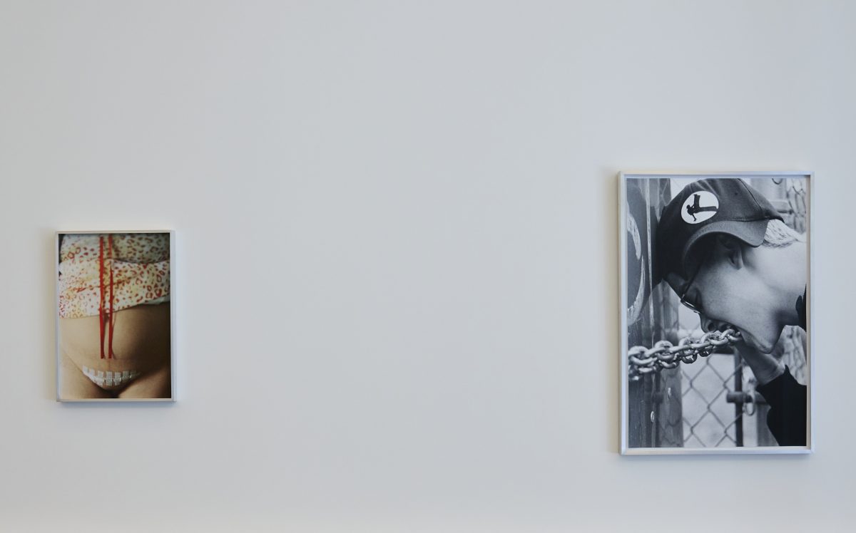 <i>Bunny,</i> 2026 </br>
installation view,  Loewe Foundation | Lázaro Galdiano Museum, Madrid