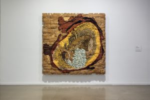<i>Future Geographies: Art in the Century of Climate Change,</i> 2026 </br>installation view,  Vancouver Artgallery, Vancouver